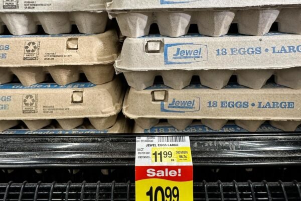 Are egg producers that inflate prices during avian flu outbreak to increase profits?