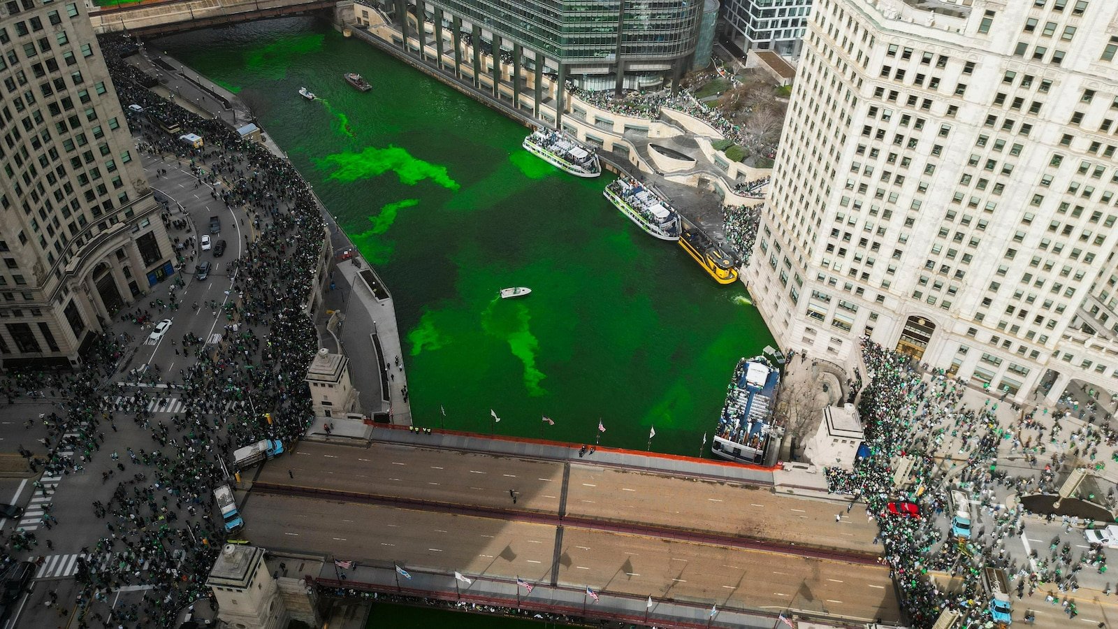 Chicago will dye its brilliant green river while opening celebrations of the day of St. Patricio