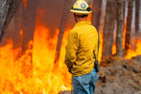 Firefighters in Las Carolinas fight against multiple forest fires