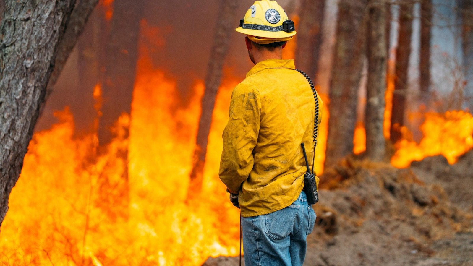 Firefighters in Las Carolinas fight against multiple forest fires