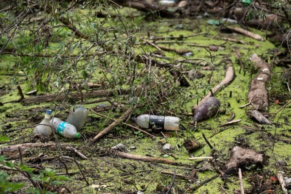 Plastics are filtered in agricultural fields, food and, finally, human bodies. Can they be stopped?