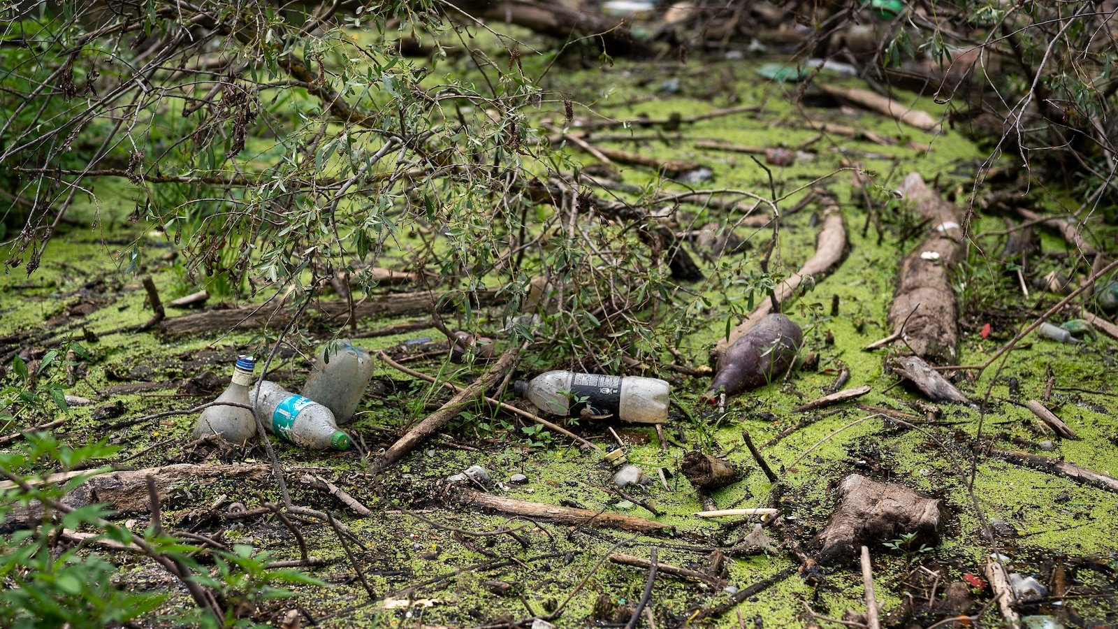 Plastics are filtered in agricultural fields, food and, finally, human bodies. Can they be stopped?