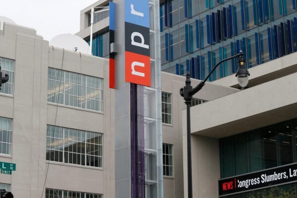The Republicans of the Congress point to PBS, financing of NPR in contentious audience