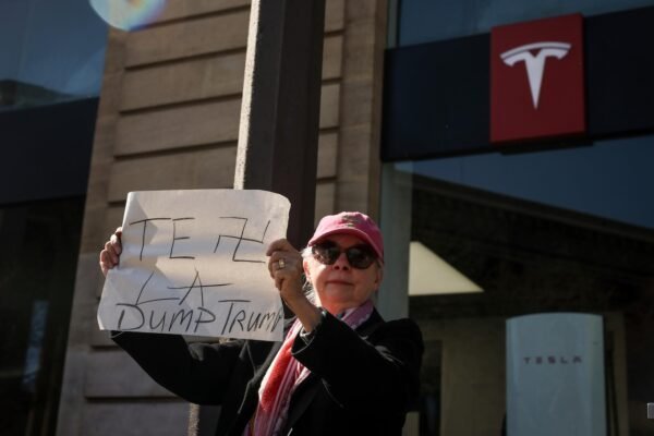 The protesters who rebel against the purge of Elon Musk of the US Government.