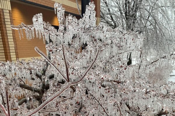 The rain becomes ice, cuts the power in the region of the great lakes, while Tennessee apart for wild weather