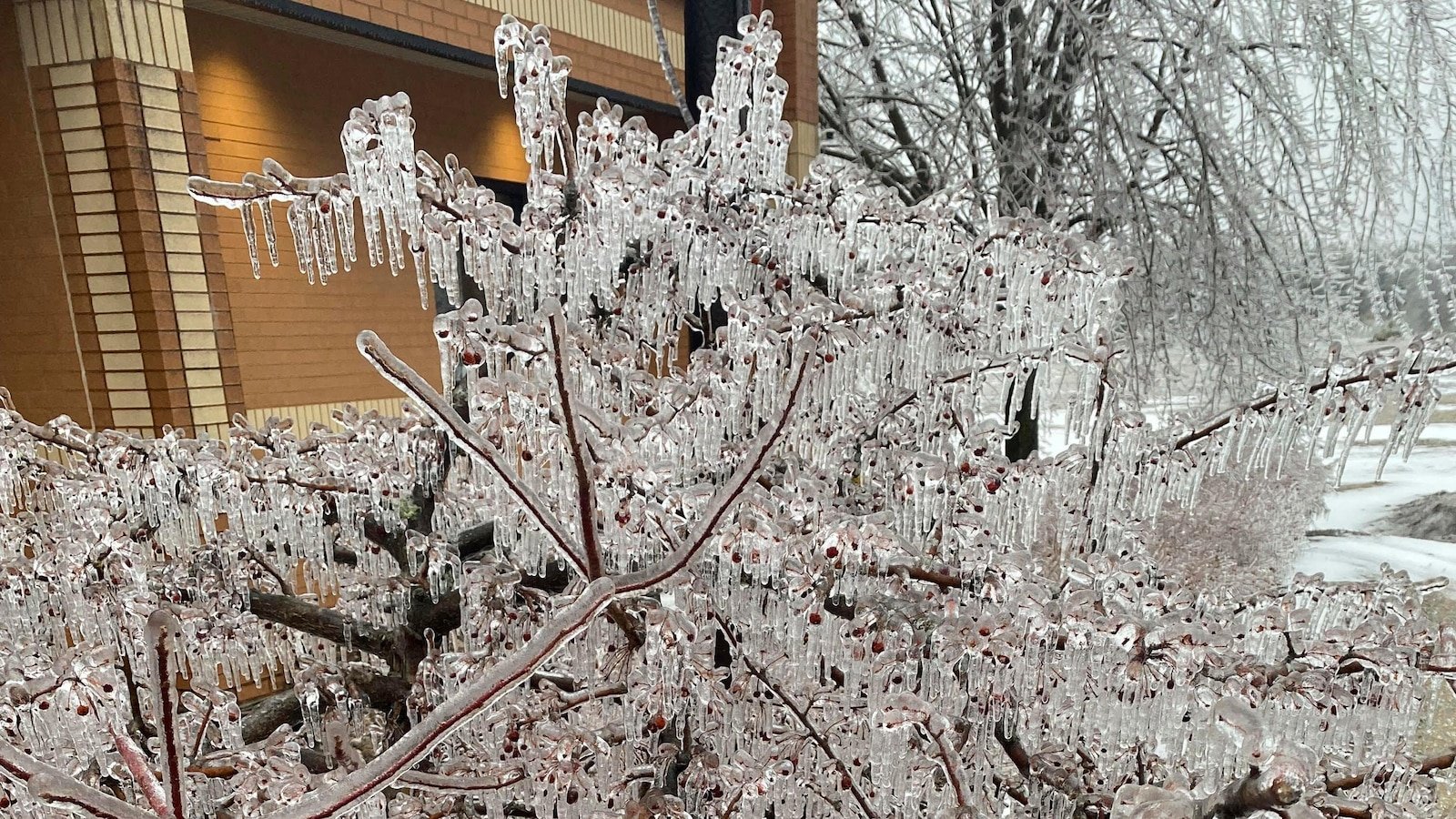 The rain becomes ice, cuts the power in the region of the great lakes, while Tennessee apart for wild weather