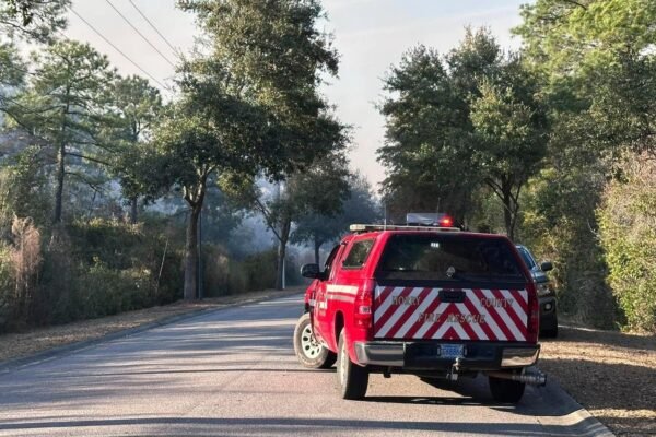 The teams fight against forest fires in North and South Carolina in the middle of dry conditions and racing winds