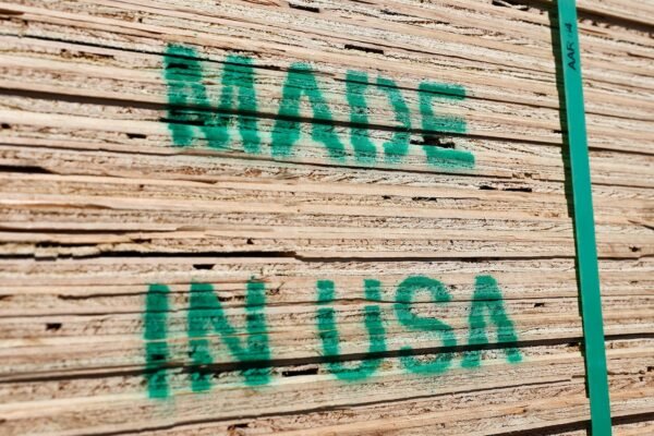 Trump tariffs could cause a recession, experts say. Here is how.