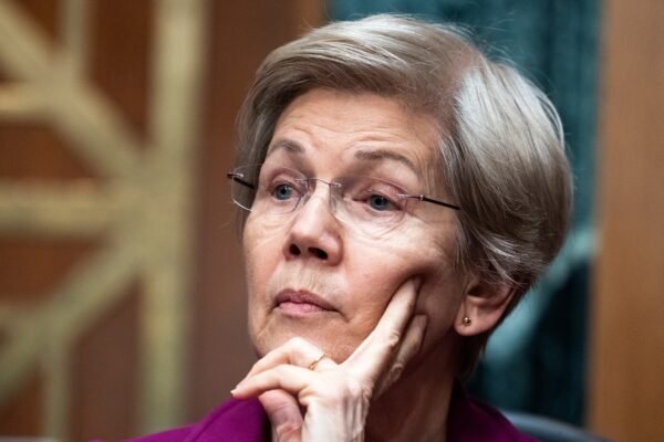 Warren tells McMahon Working Workers means' terrible consequences' for students' financial aid
