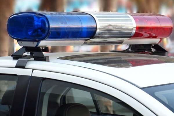 152 dogs rescued from 'extremely poor' conditions in Utah