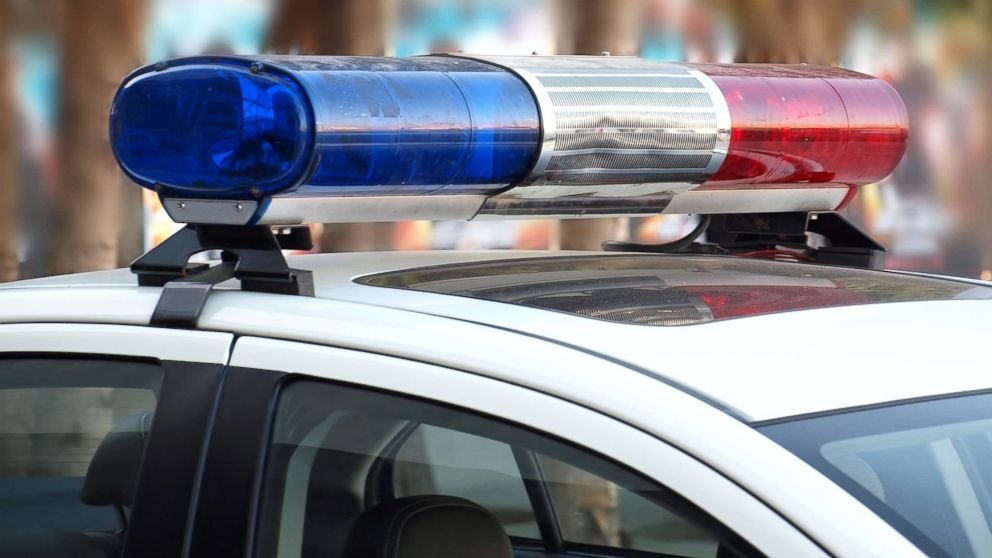 152 dogs rescued from 'extremely poor' conditions in Utah