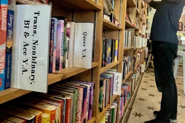 'All children are not blue' tops 2024 Library list of the most 'challenged' American library