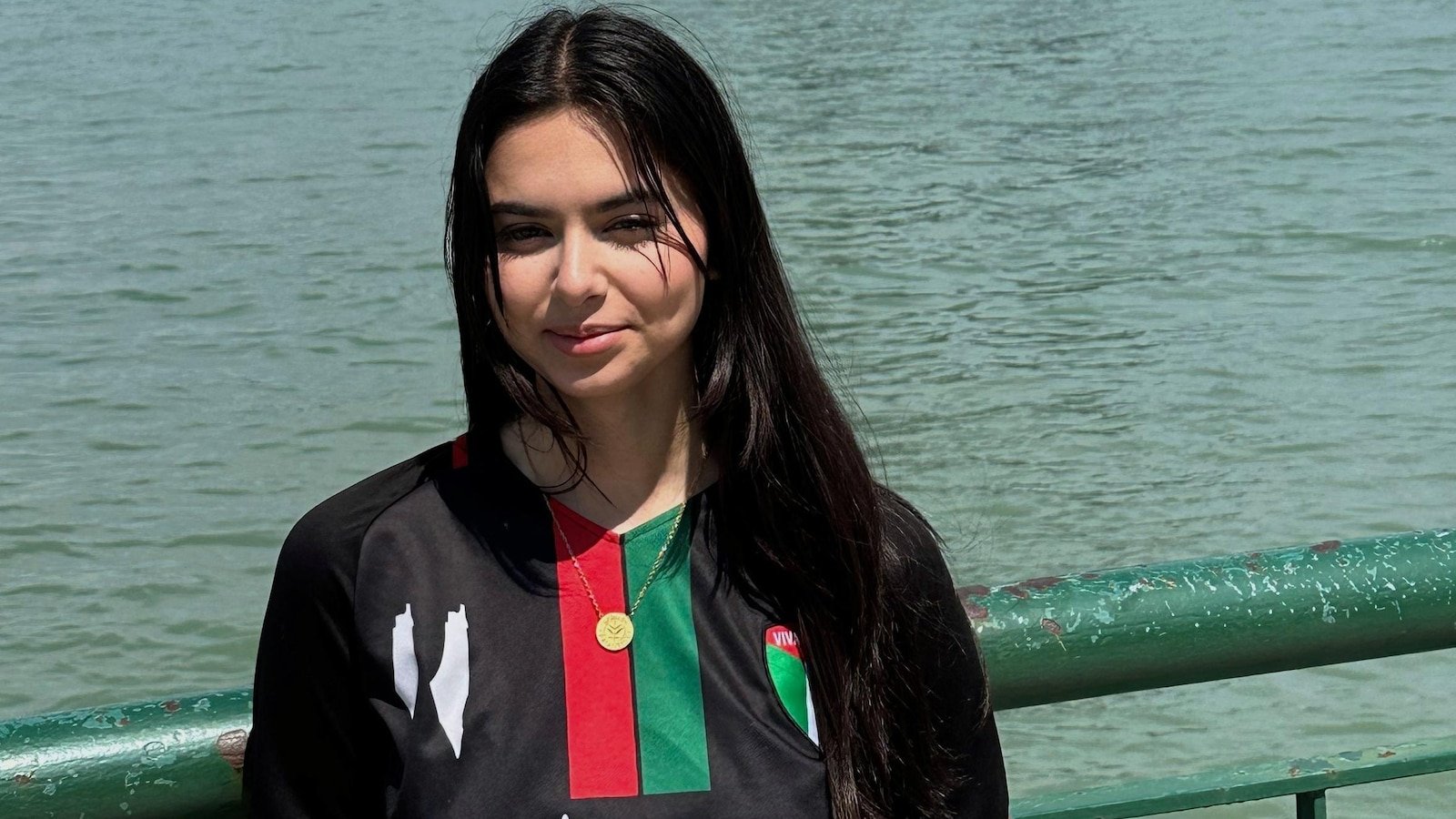 Canadians discouraged by Trump's advantage, border arrests are reserving much less US visits.