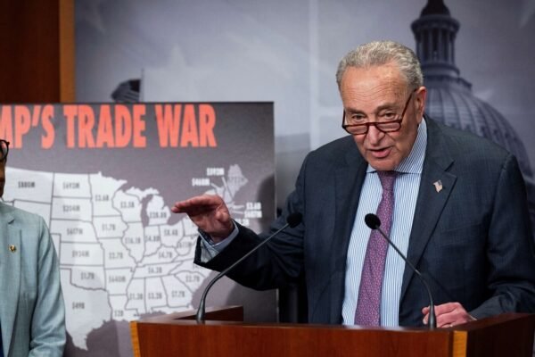 Democrats promise to fight Trump's tariffs' teeth and nails while hitting the 'chaotic commercial war'
