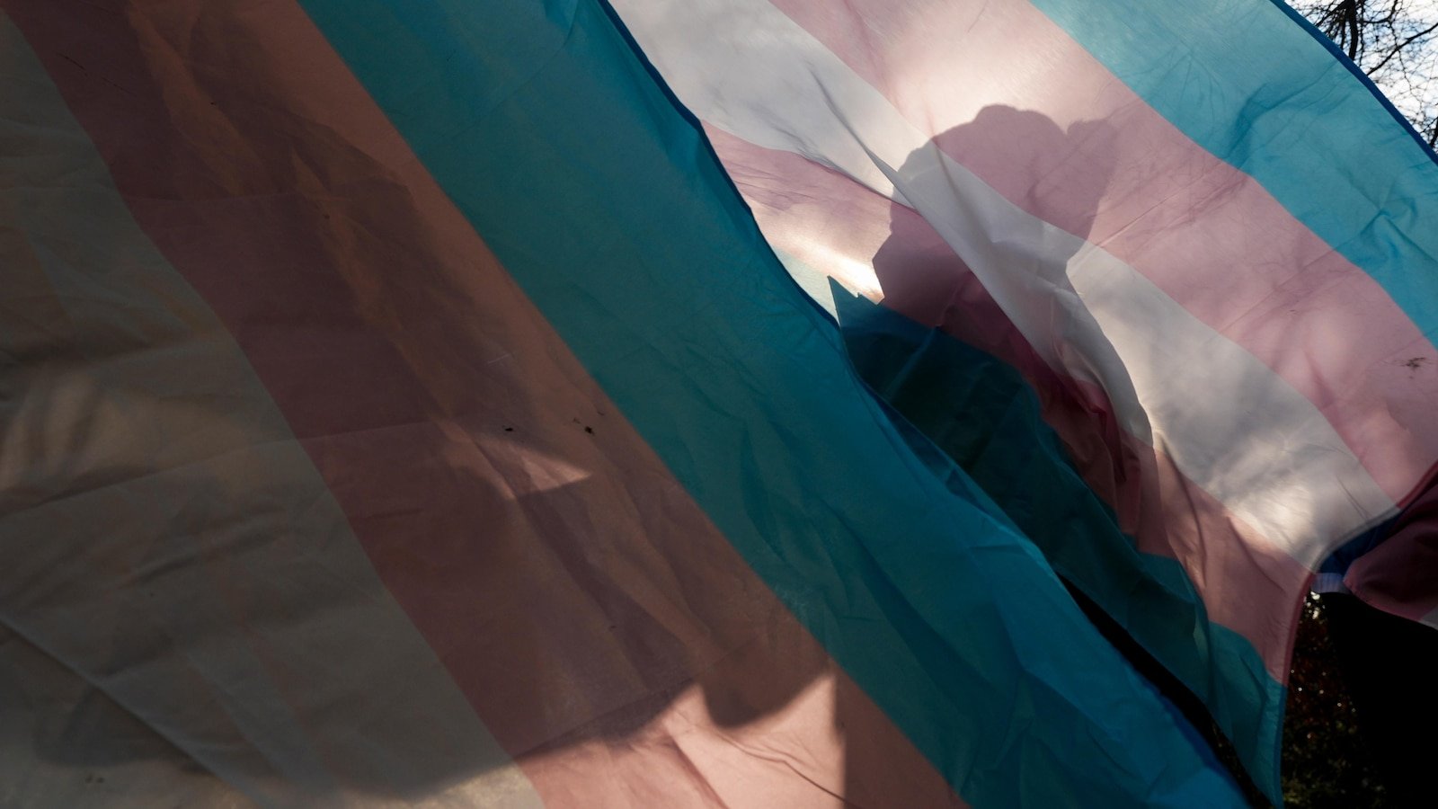 EEOC instructs staff to put aside all new cases of transgender discrimination, employees say