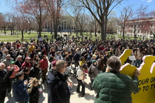 Harvard's IRS -free state decision could arrive in days: Fuentes