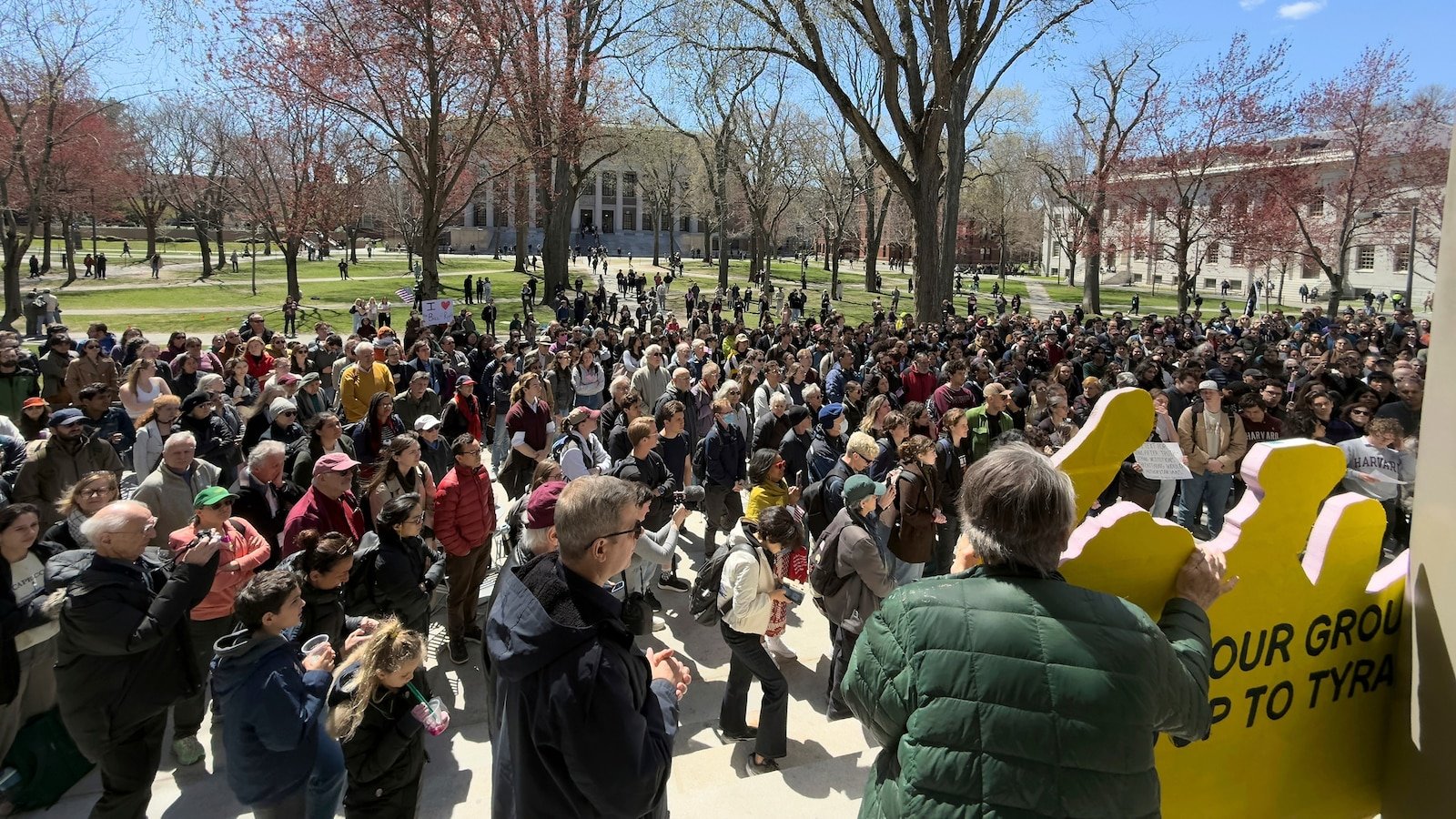 Harvard's IRS -free state decision could arrive in days: Fuentes