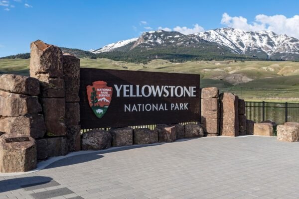 Interior department staff, including those of national parks, offered purchases and early retirement