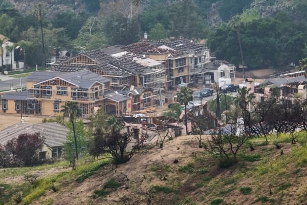 Left alone by humans, wildlife returns to the Burn Burn de Eaton area