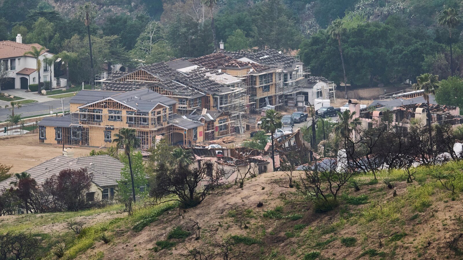 Left alone by humans, wildlife returns to the Burn Burn de Eaton area