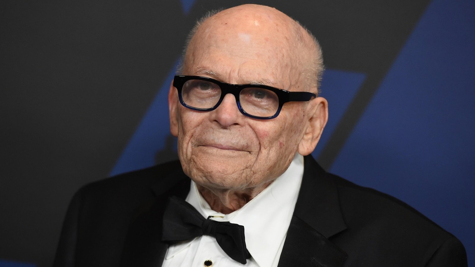 Marvin Levy, publicist by Steven Spielberg and an Oscar receiver, dies at 96 years