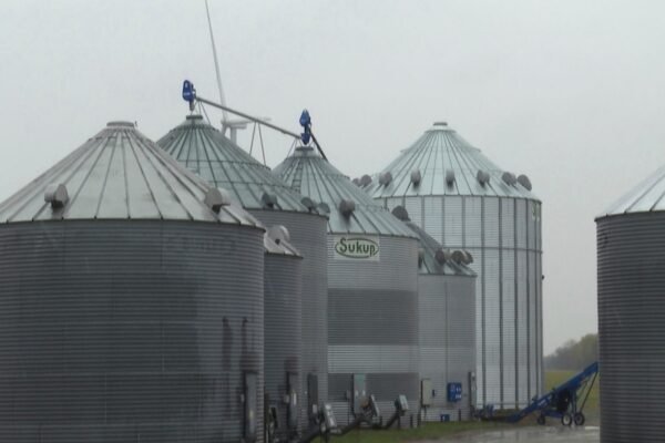 Rancheros expect Trump's tariffs to increase the demand for cattle, but some fear market uncertainty