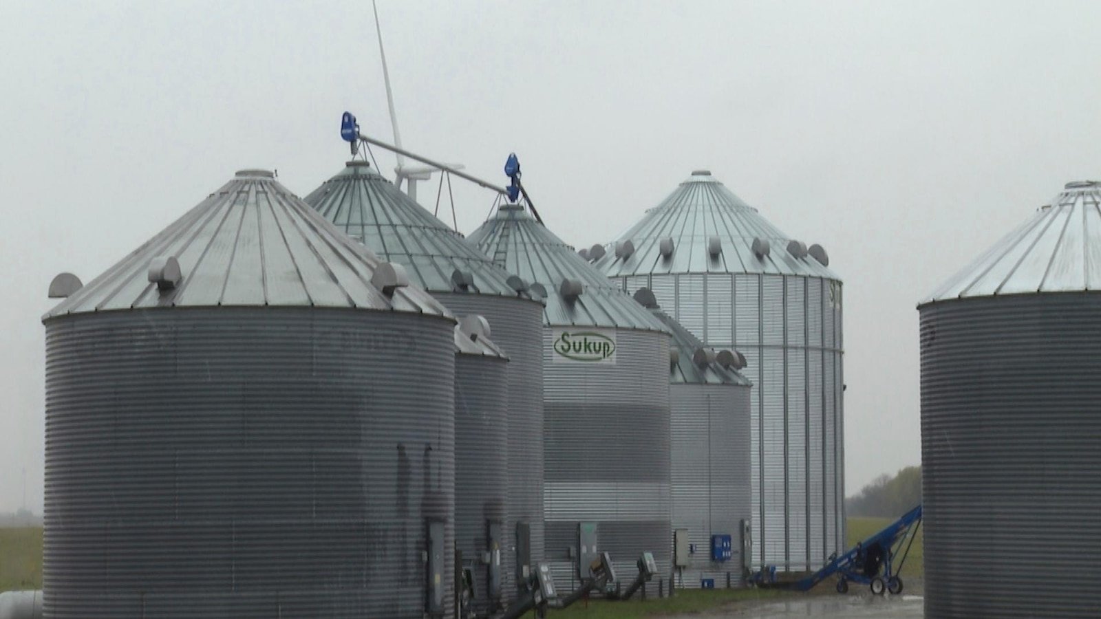 Rancheros expect Trump's tariffs to increase the demand for cattle, but some fear market uncertainty