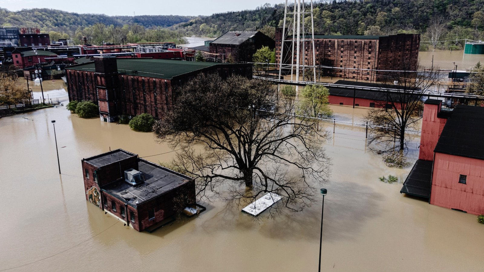 The affected barrel inspections will take time as the cleaning of floods in Kentucky distillery progresses