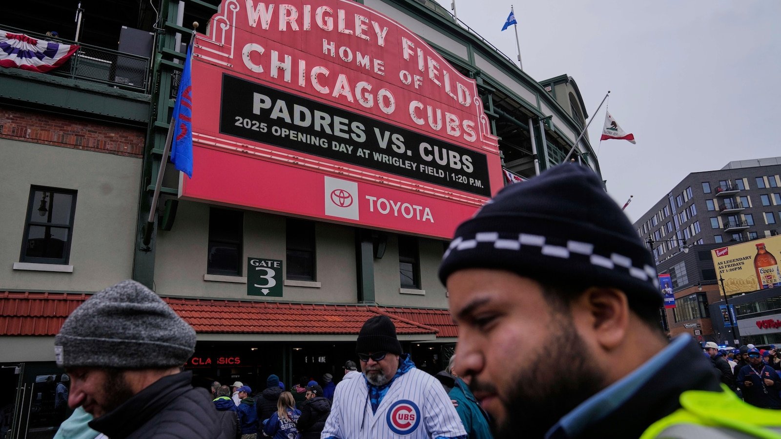 The geese nest next to the Wrigley field laundering emblematic during the Chicago puppies games