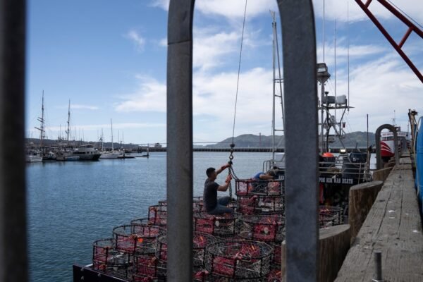 The new team could keep California crab fishermen in the water for a longer time, and safe whales