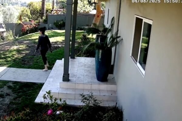 Video of the launch police of the armed confrontation that wound from the wife of Weezer bassist