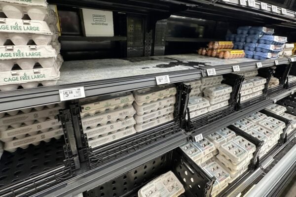 Wait more false eggs in the propagation of Easter this year