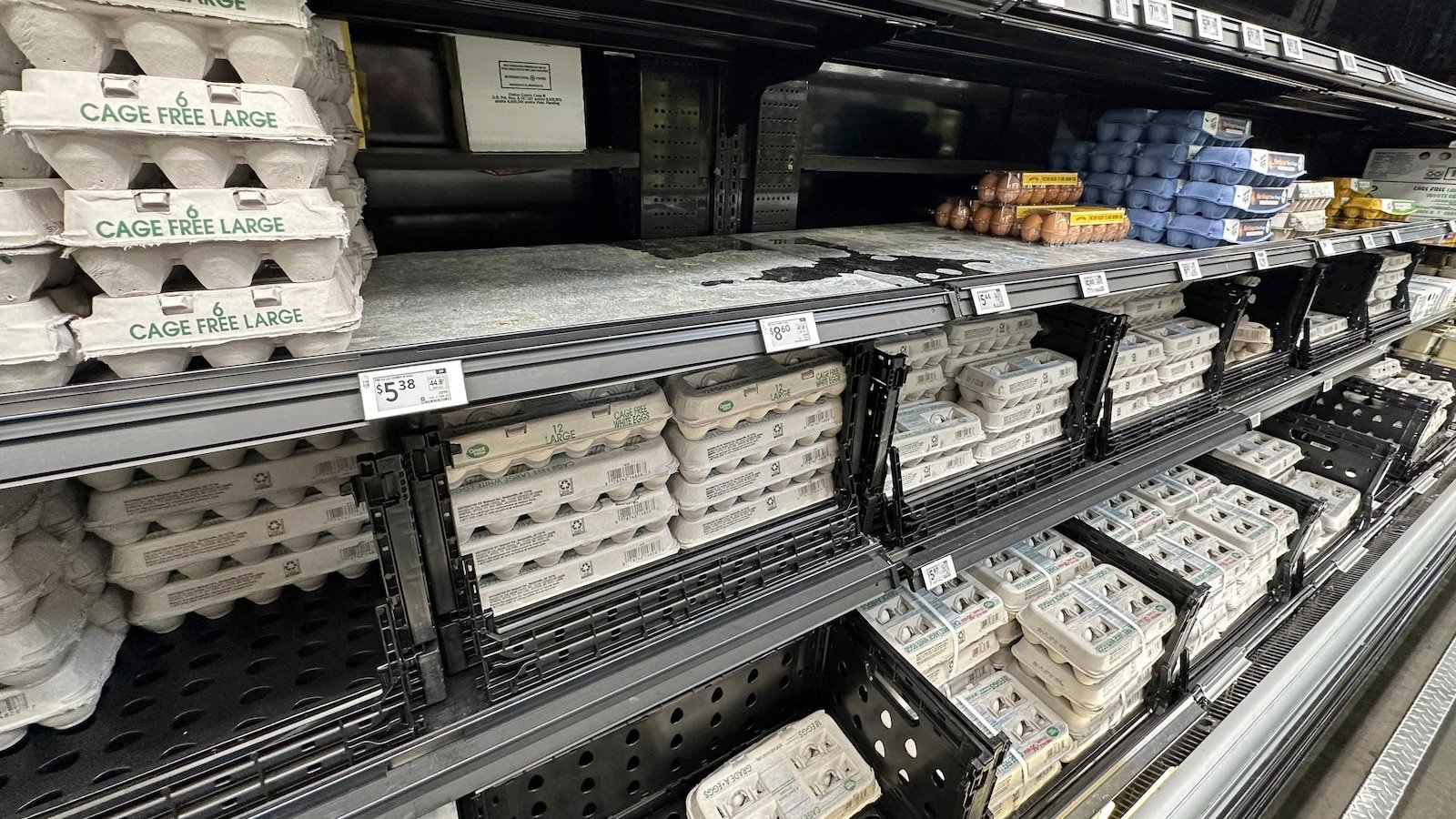 Wait more false eggs in the propagation of Easter this year