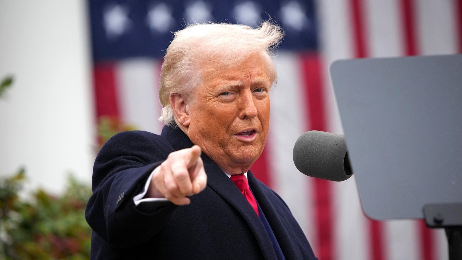 World leaders exploit Trump's tariffs while markets fall