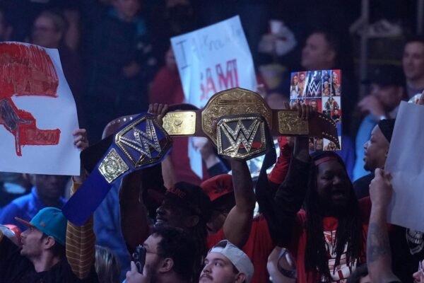 WrestleMania of WWE continues to increase, providing an extravagance of one day for fans