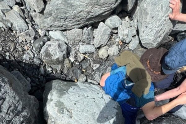 A 700 -pound dew you walk to Alaska man face down in a glacier stream for three hours