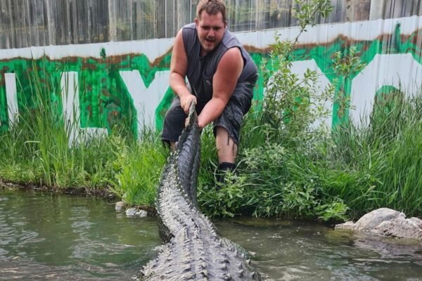 Aligator starring 'Happy Gilmore' dies of old age in Colorado