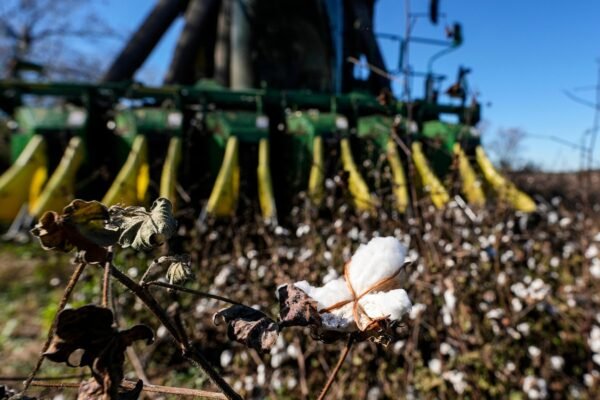 Federal officials establish a timeline for Helene Aid to farmers while Georgia promulgates tax exemptions