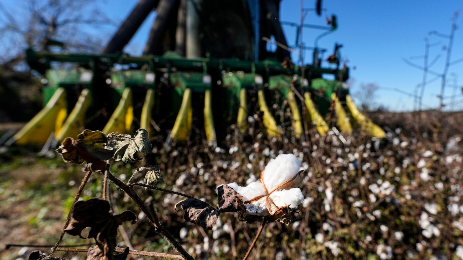 Federal officials establish a timeline for Helene Aid to farmers while Georgia promulgates tax exemptions