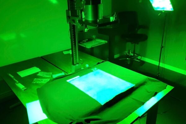 Harvard's 'cheap' copy of the Magna Carta turned out to be extremely rare