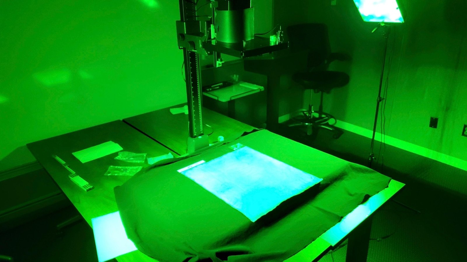 Harvard's 'cheap' copy of the Magna Carta turned out to be extremely rare