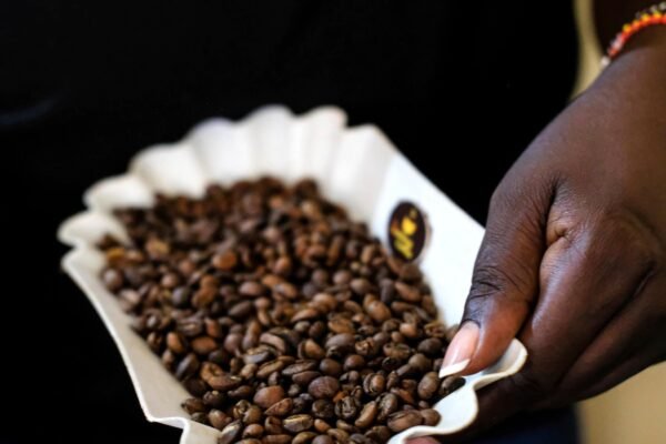 In Uganda that produces coffee, an emerging brotherhood wants more women involved