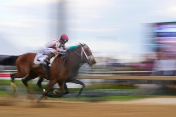 Journalism comes from behind to win the preakness
