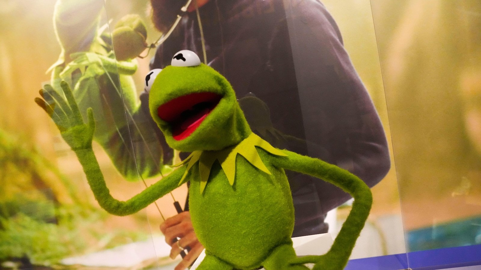 Kermit the Frog to pronounce a start speech at Maryland University