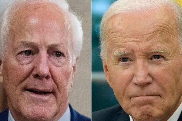 Senate Republicans plan the audience on the perceived cognitive impairment of Biden