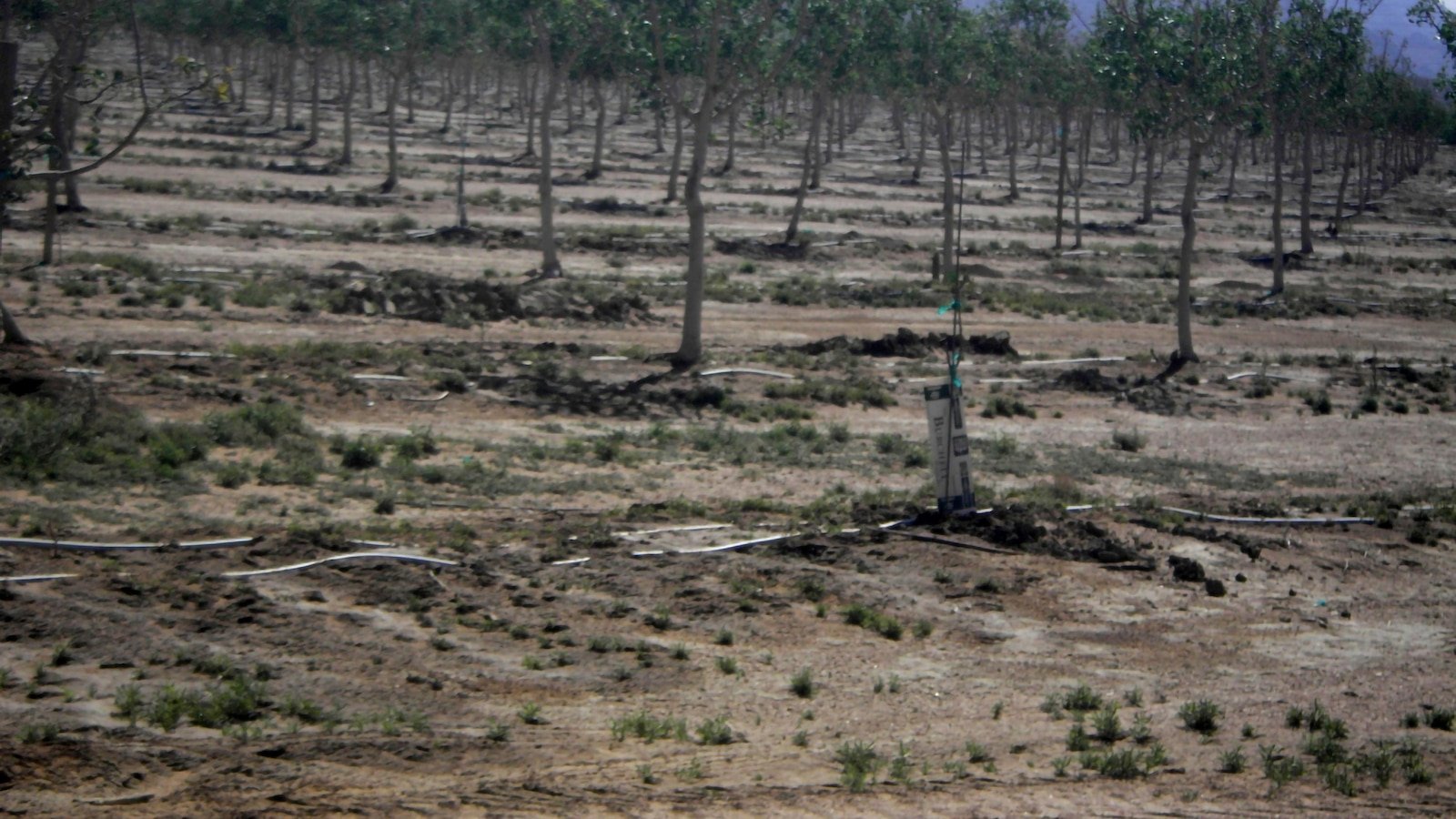 The Arizona rural underground water agreement stops as the legislative session is approaching