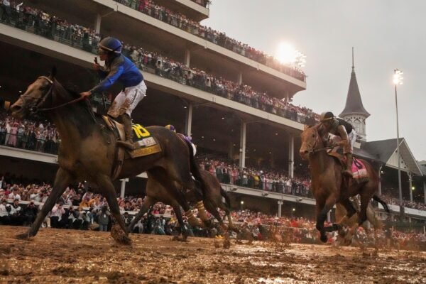 The plans are not clear to the sovereignty of the winner of the Kentucky derby and others with the preakness 2 weeks away