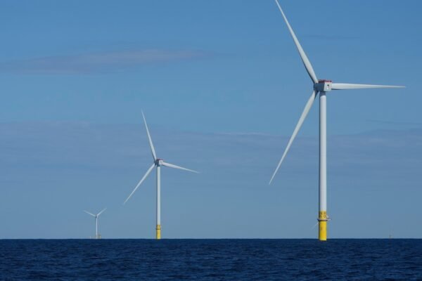 The states demand the Trump administration for blocking the development of wind energy