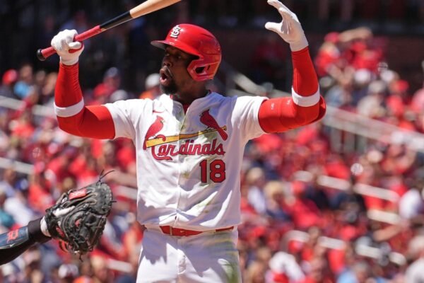 The tigers remain on a streak with a 3-1 victory over the cardinals