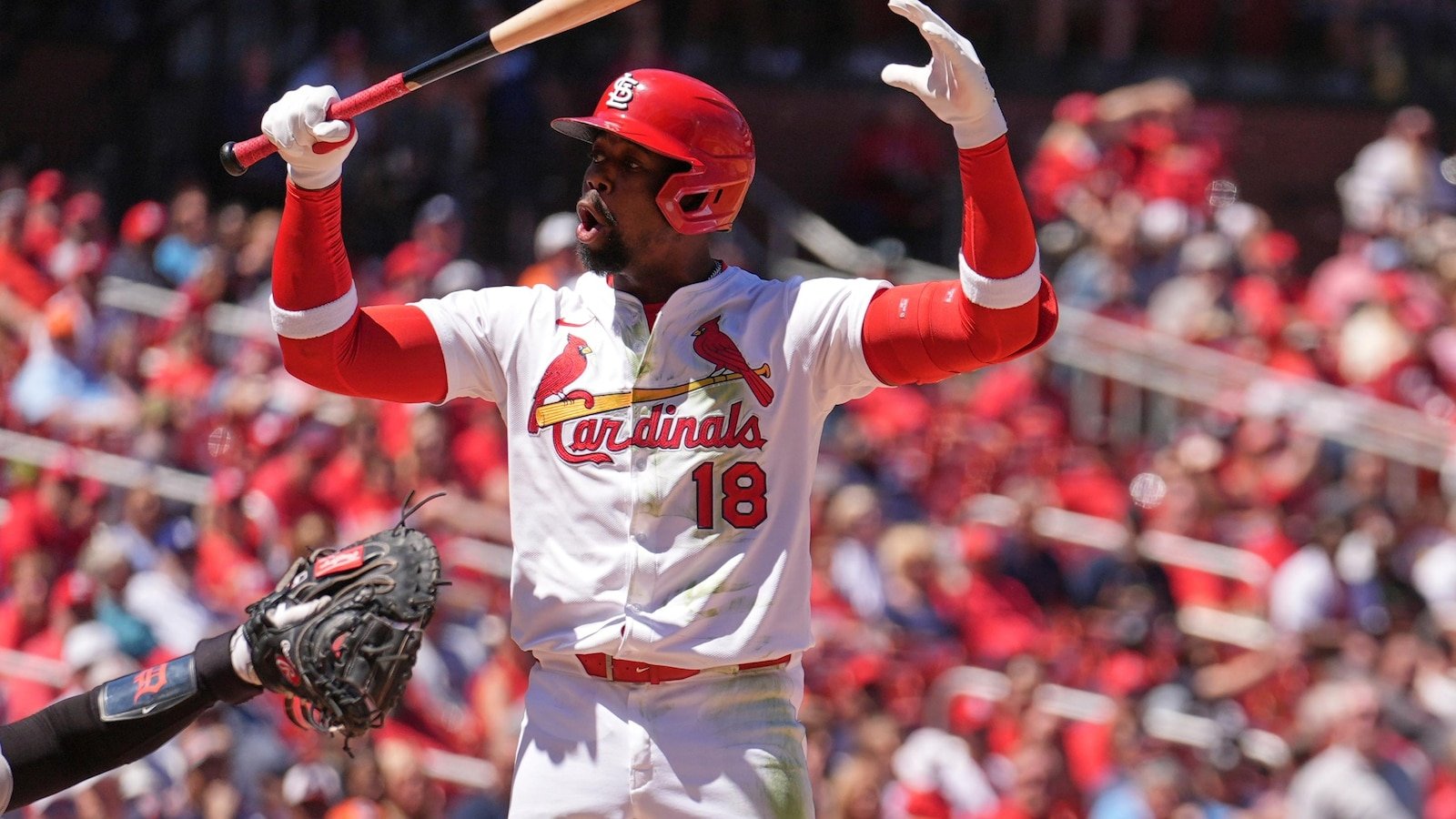 The tigers remain on a streak with a 3-1 victory over the cardinals